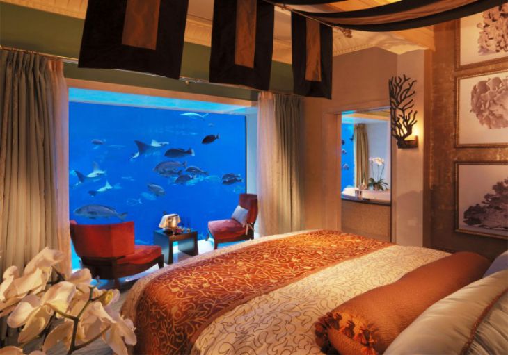 hotel com parede de aquário