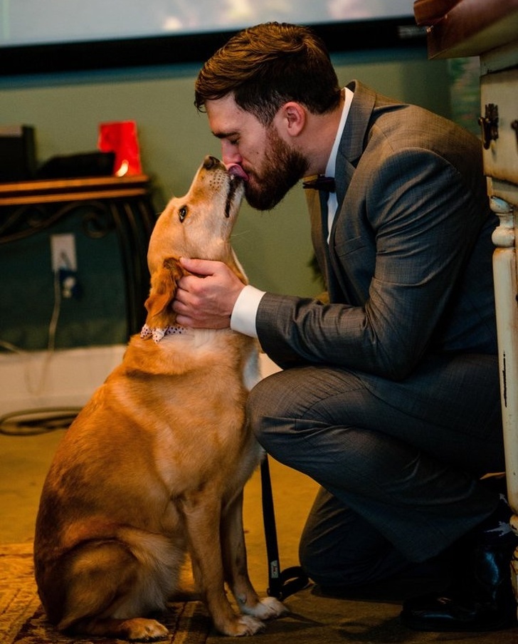 O dono beija o cachorro