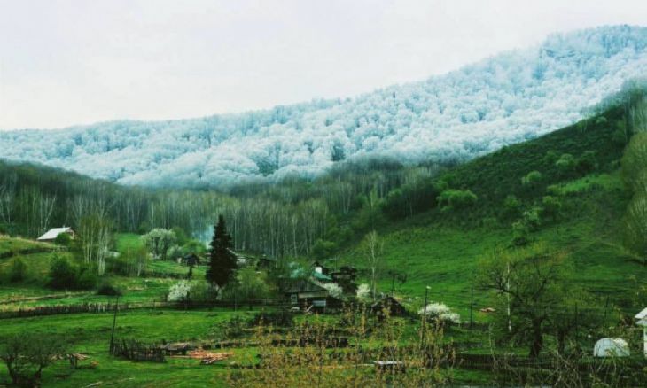 É assim que a neve cai no Altai