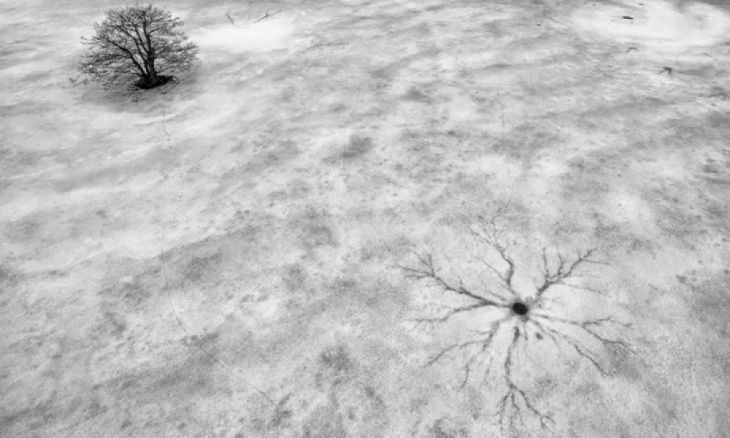 Πάγος του χειμώνα, Photographersworld