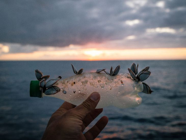Bottle Found by Diver in Sri Lanka
