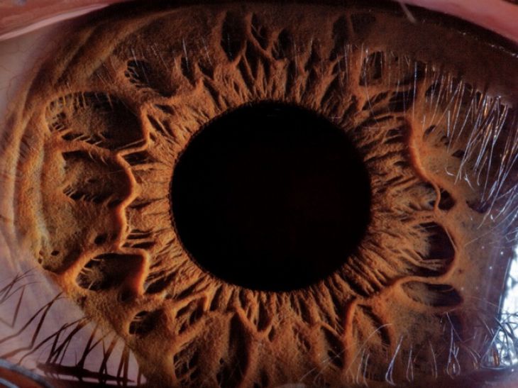 Close up ao olho humano