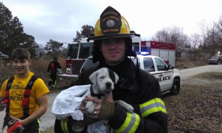 Bombeiro resgatou um filhote de cachorro
