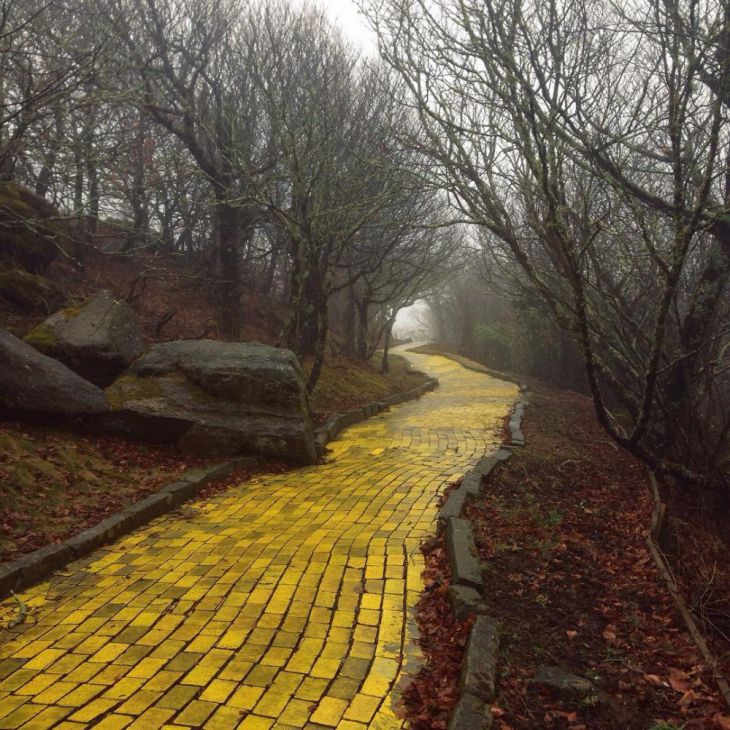 Drum din cărămidă galbenă în parcul tematic pustiu "Ţara lui Oz" din Carolina de Nord, SUA