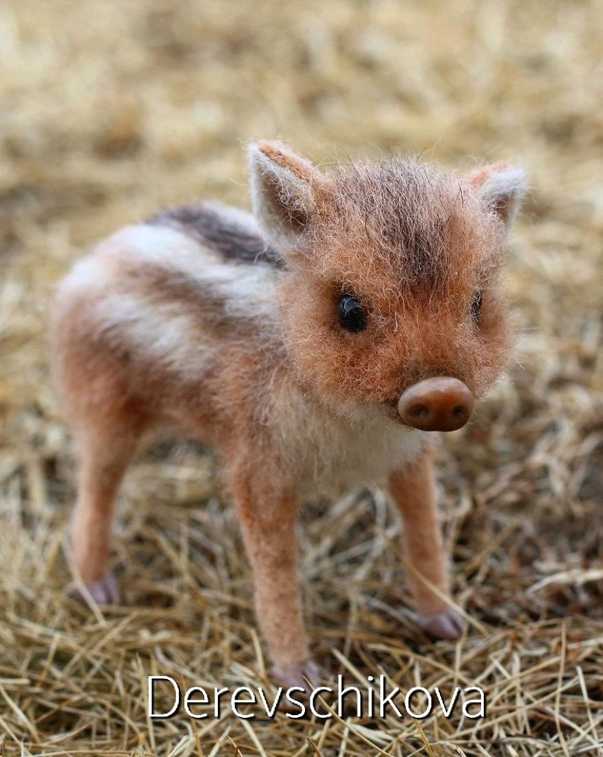 Pequeno porco