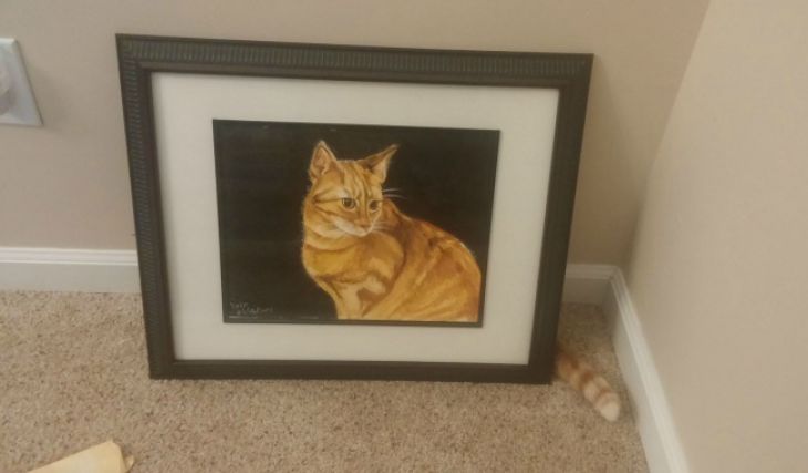 Kot siedzi na zdjęciu