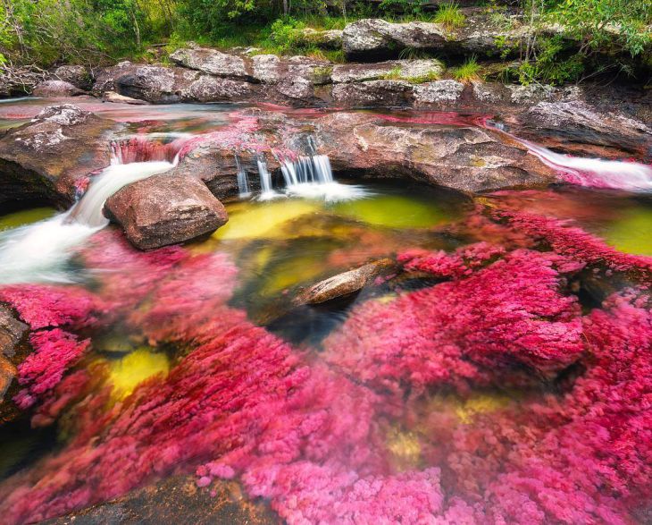 Řeka 5 barev - Caňo Christales, Kolumbie