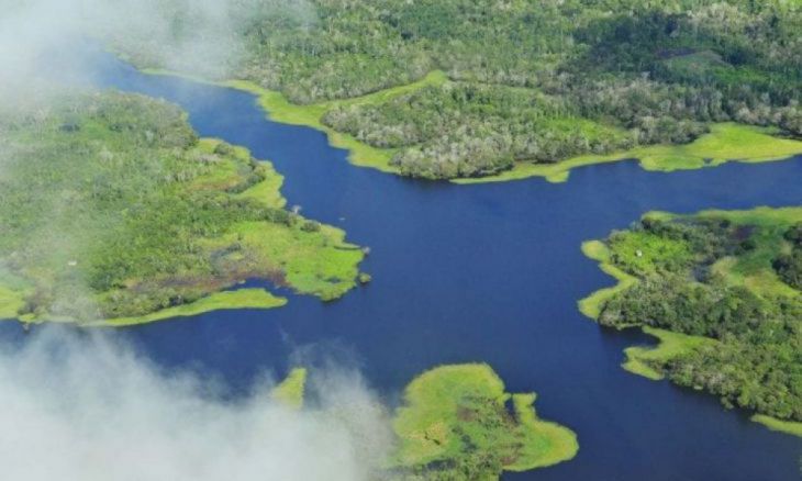 Bazinul Amazon