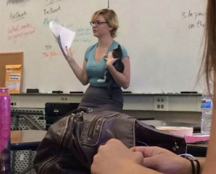 Teacher gives a lecture with a cat