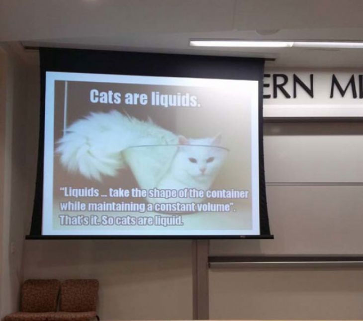 O professor fala sobre líquidos