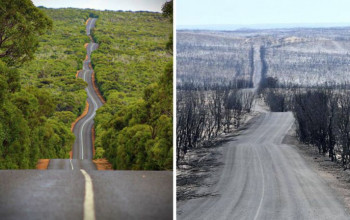 19 fotos de Australia, antes y ahora, que muestran cuánto daño han causado los incendios