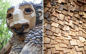 Wyrzeźbione przez siebie olbrzymy z drewna  ukrywam w dziczy belgijskiego lasu