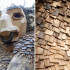 Ascund uriașii din lemn creați de mine în adâncul pădurii Belgiene