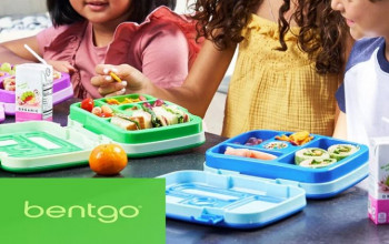 Are Bentgo Boxes Worth It? And What Are the Alternatives?