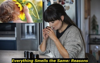 Everything Smells the Same to Me: Common Reasons. What to Do?