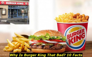 Why Is Burger King So Bad? We've Found 10 Disgusting Facts