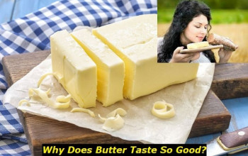 Why Does Butter Taste So Good to Me? Five Main Ideas
