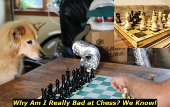 Why Am I So Bad at Chess? Our 8 Tips for Getting Much Better