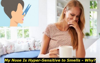 Why Is My Nose So Sensitive to Smells? We Explain How It Works